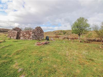 Picture 21